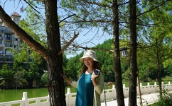 机械迷城完整中文版